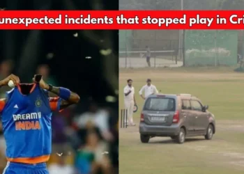 5 bizarre incidents that forced cricket matches to stop