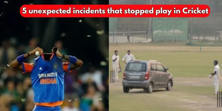 5 bizarre incidents that forced cricket matches to stop