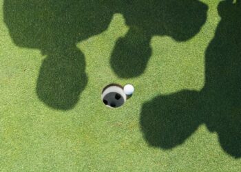 Can I ask a fellow player not to move their shadow from my ball? – National Club Golfer
