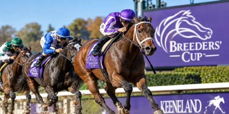 Breeders’ Cup 2026 Prize Money: All 14 Race Purses