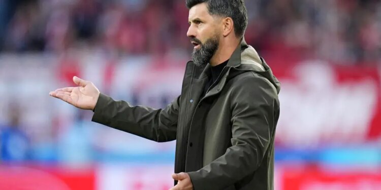 Julian Schuster praises Miron Muslic’s honestly after Freiburg defeat Schalke: “That was truly big of him!”