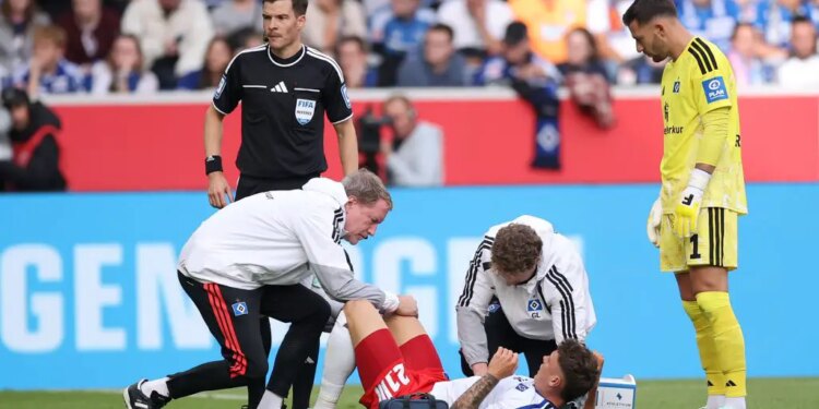 Hamburg fear captain Nicolai Remberg has suffered a serious ACL injury